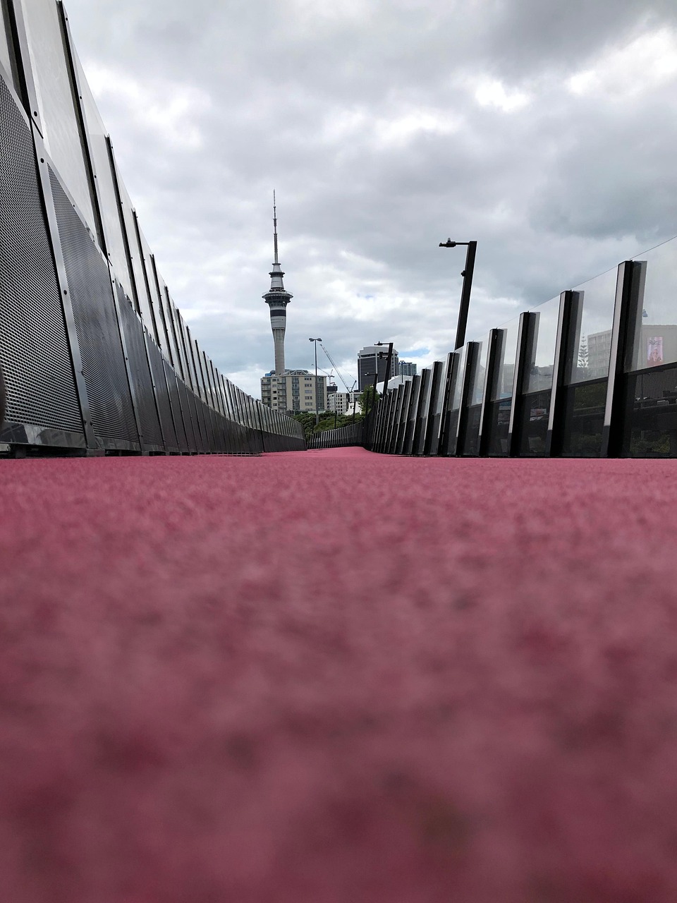 Auckland’s Sky Tower stands tall, offering adventure and panoramic views over the vibrant city.