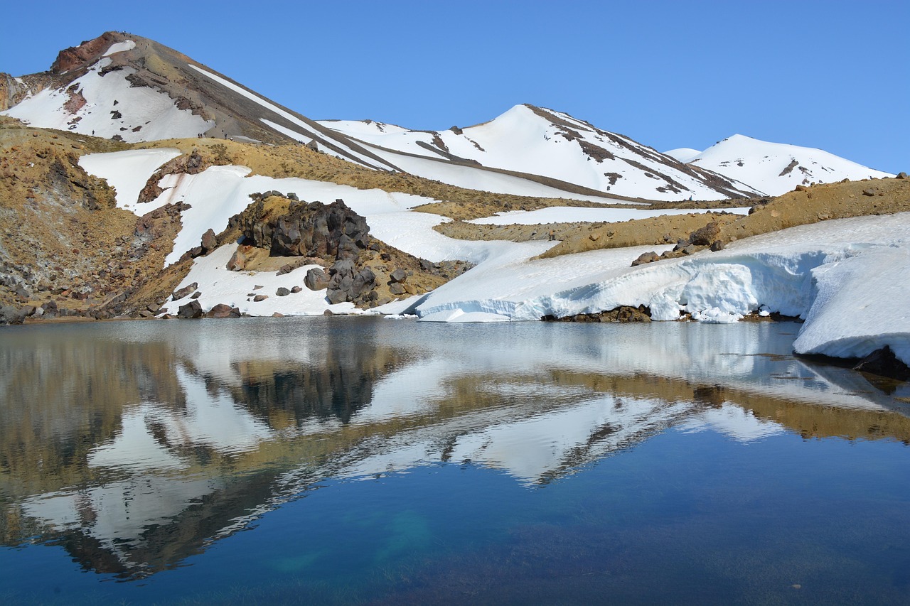 Summer reveals lush tracks and clear vistas—perfect for seamless family adventures in Tongariro.