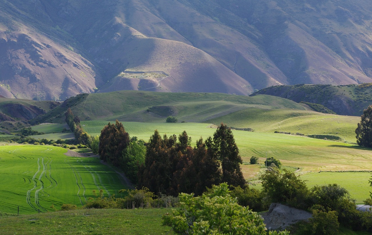 Design your perfect New Zealand itinerary with local expertise and care.