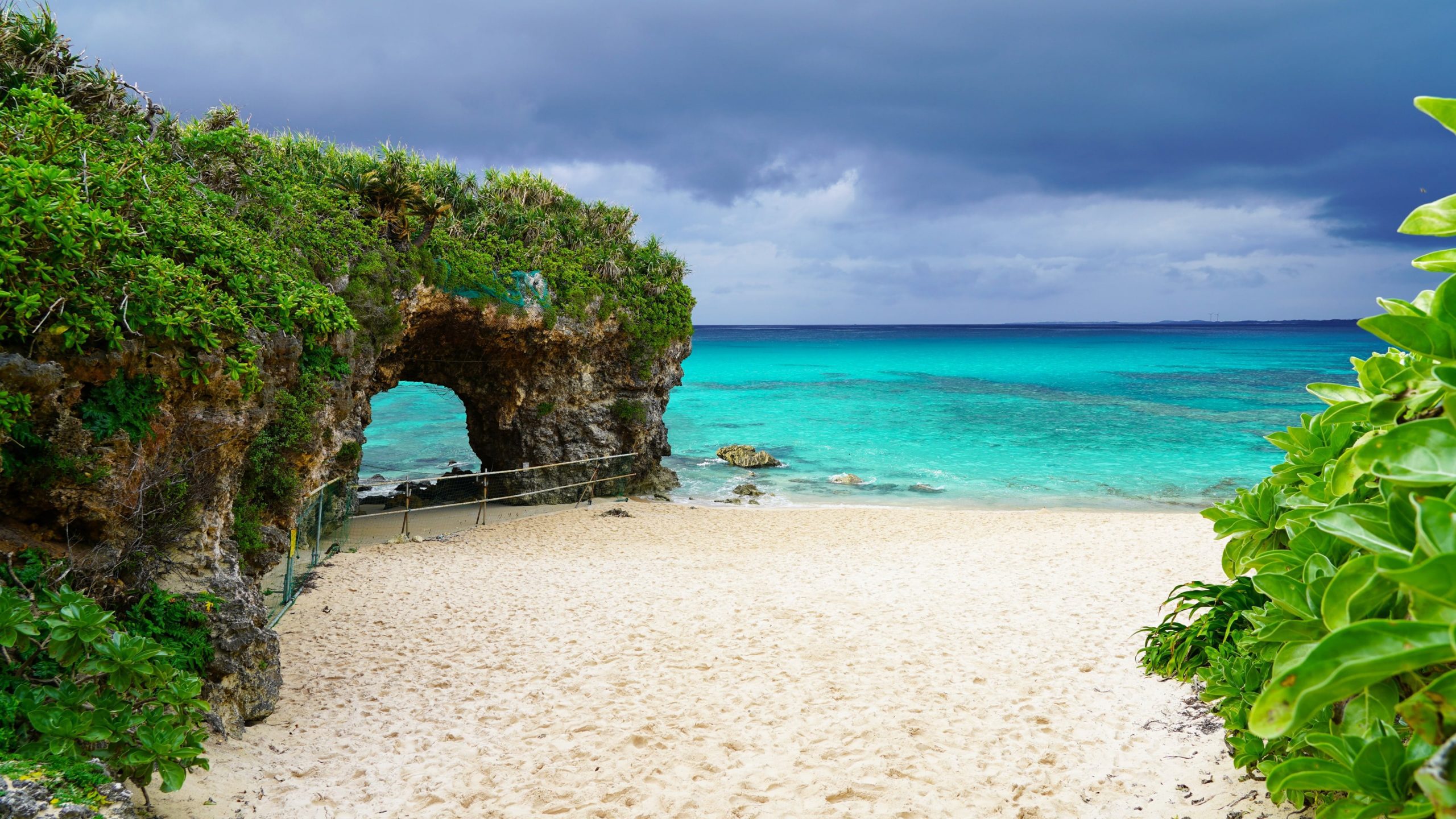 The island's surrounding waters provide a rich bounty of fresh seafood.