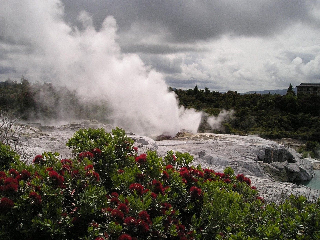 Frying Pan Lake and geothermal wonders in Waimangu.