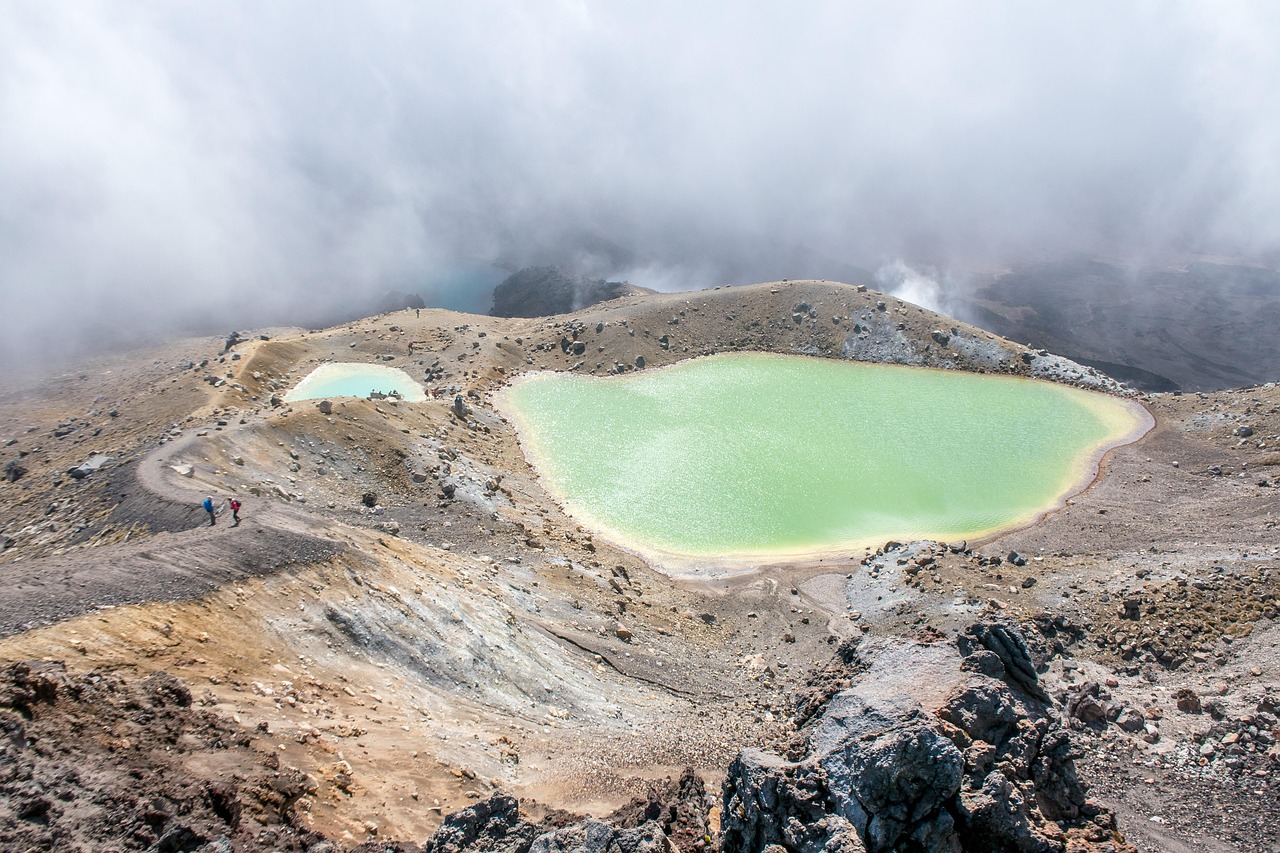 Walking trails surrounded by geothermal beauty and native forest.