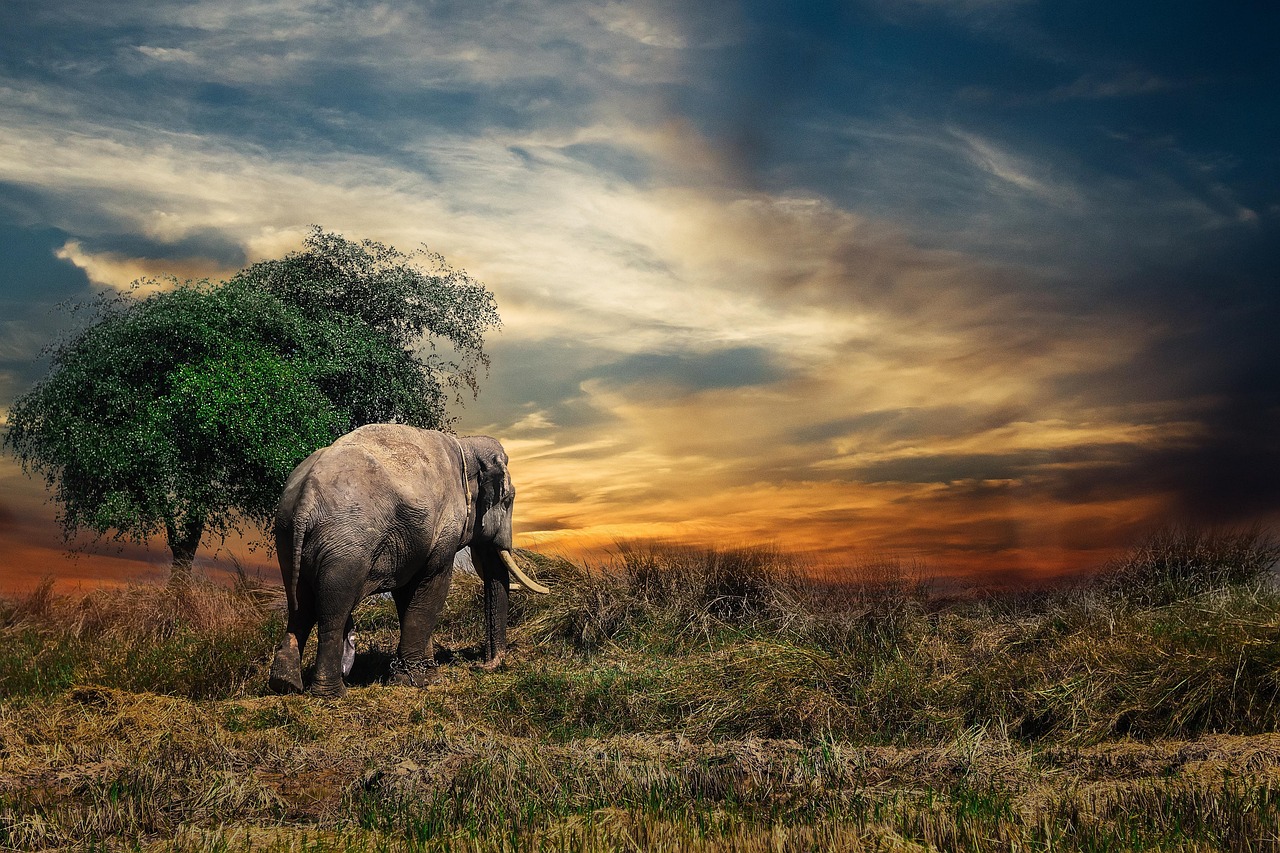 Safari World’s animal shows ignite curiosity and delight in children of all ages.
