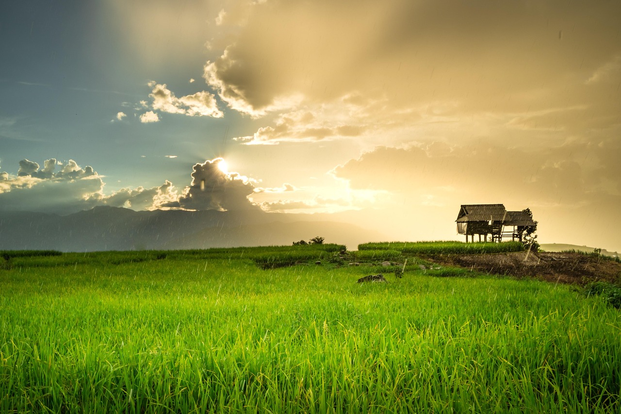 Local experts add depth, history, and human warmth to every Maya Bay journey.