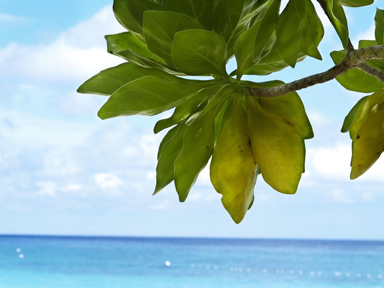 Speedboats await early-morning adventurers bound for Similan Islands National Park.