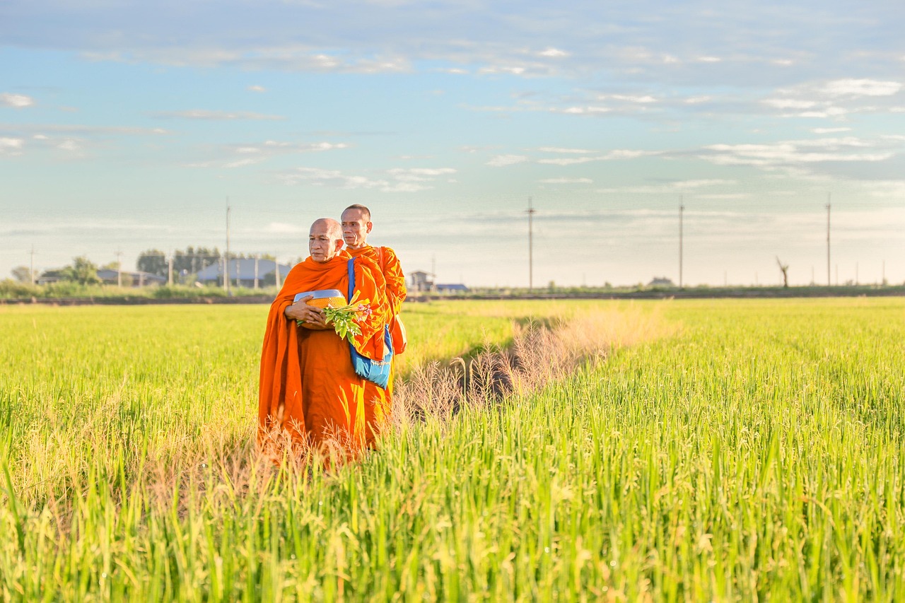 Engage with local monks for deep insights into Ayutthaya’s culture and spirit.