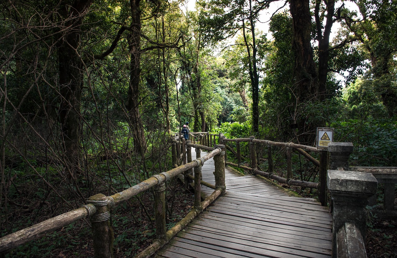 Rejuvenate at a private mountain retreat—blending nature, spa, and tranquillity.
