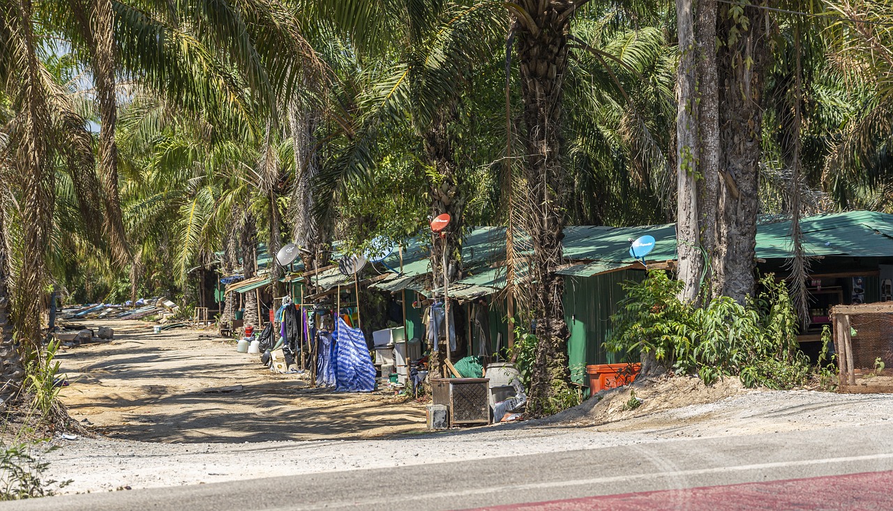 The Death Railway weaves through rural villages and dense jungles, offering ever-changing landscapes and authentic cultural experiences.