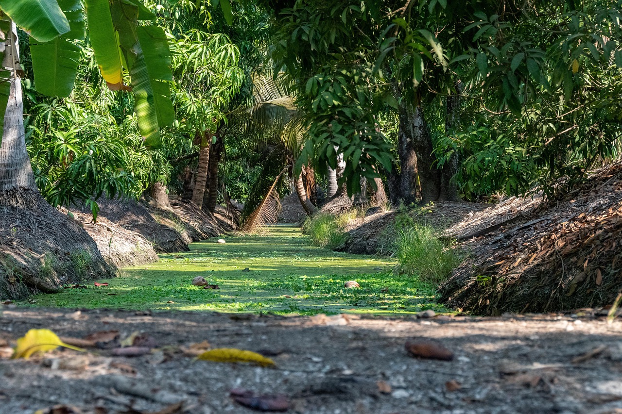 Confidently navigate Damnoen Saduak Floating Market with local insight, expert preparation, and genuine care.