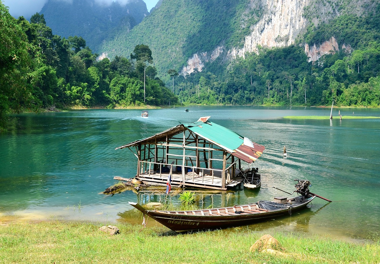 Trek beneath the emerald canopy and immerse yourself in Khao Sok’s vibrant rainforest life.