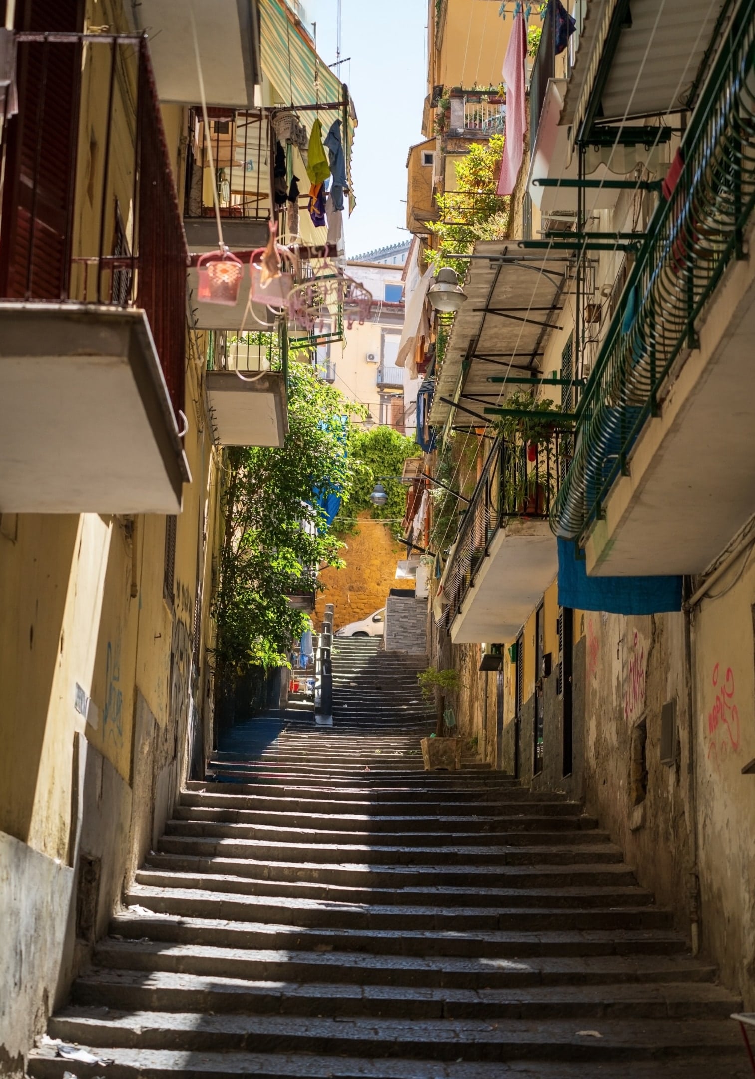 The district is characterized by a dense, labyrinthine grid.