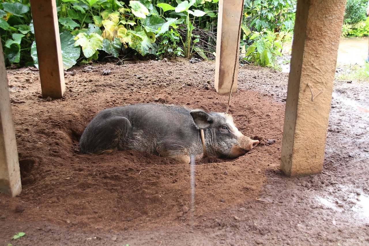 Uncover the joy of shared discovery—adventure is always better together in Thailand’s national parks.