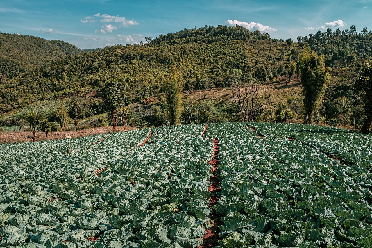 In the heart of the north, boutique retreats offer deep connections to local culture and heritage.