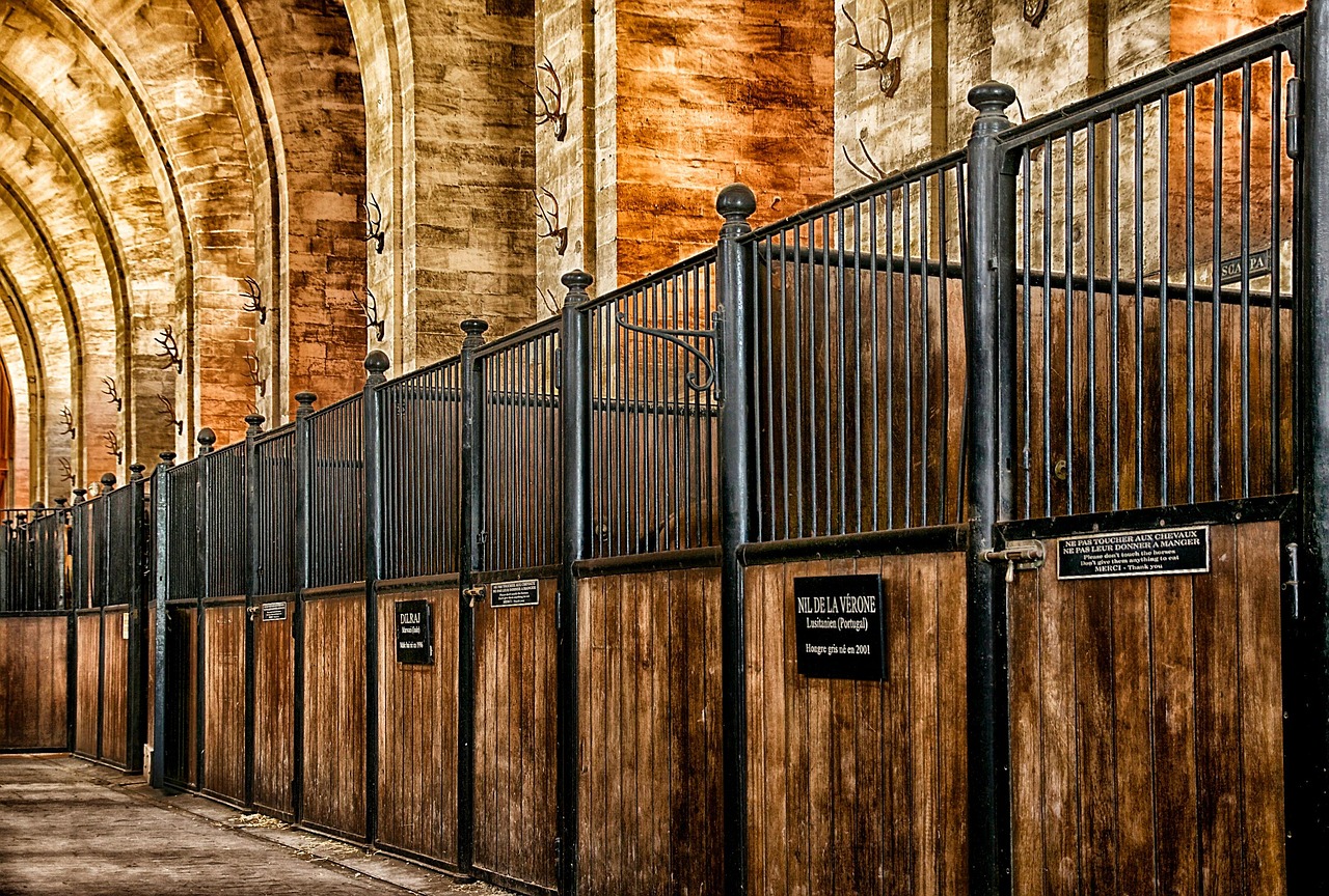 The Living Museum of the Horse showcases vibrant equestrian artistry at the Grandes Écuries.