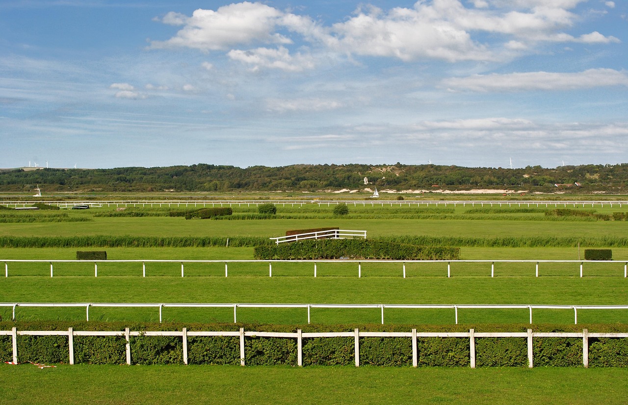 The elegance of Chantilly Racecourse, where thrilling events and refined tradition meet.