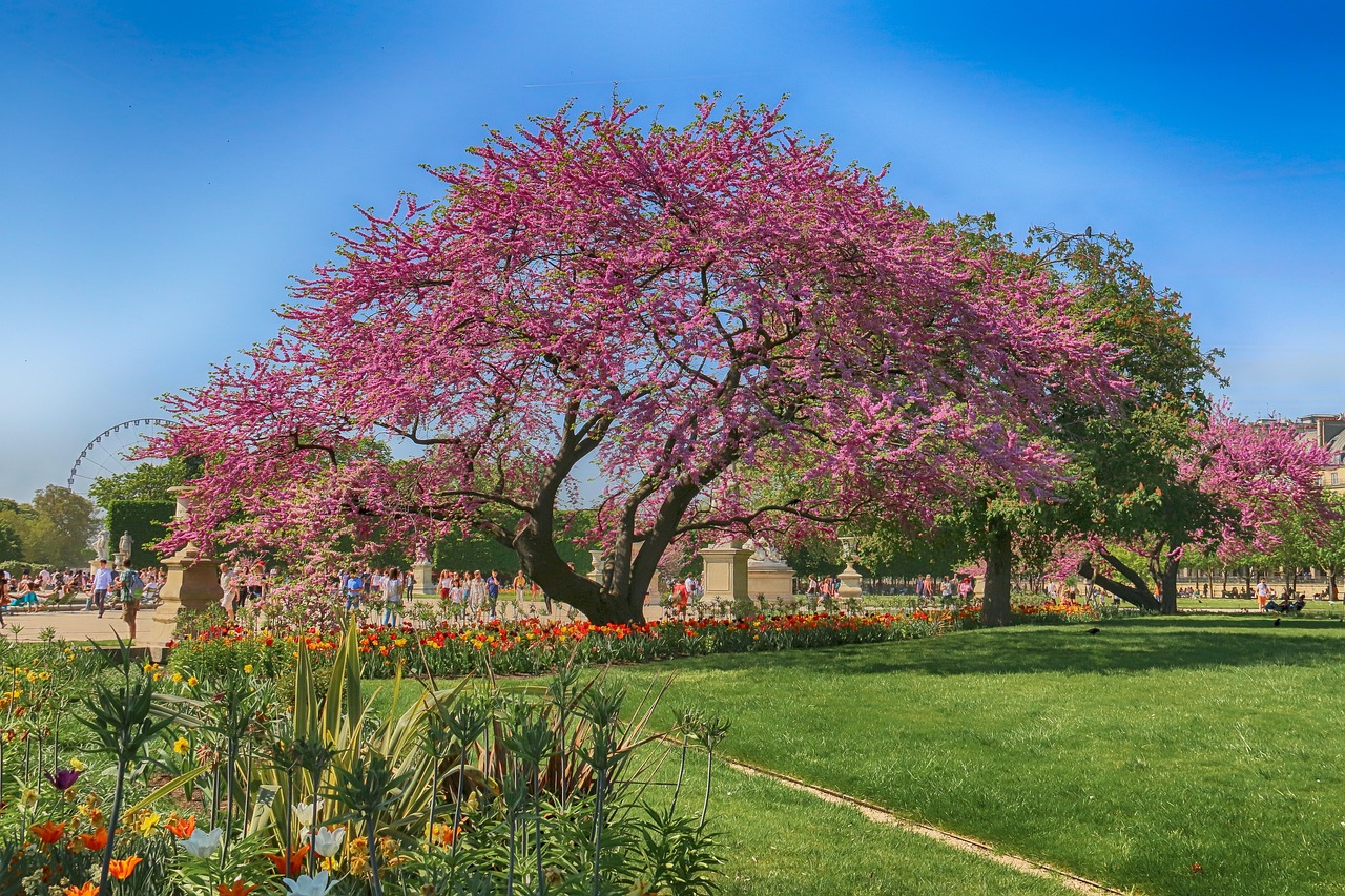 Jardin des Tuileries a favourite park in Paris