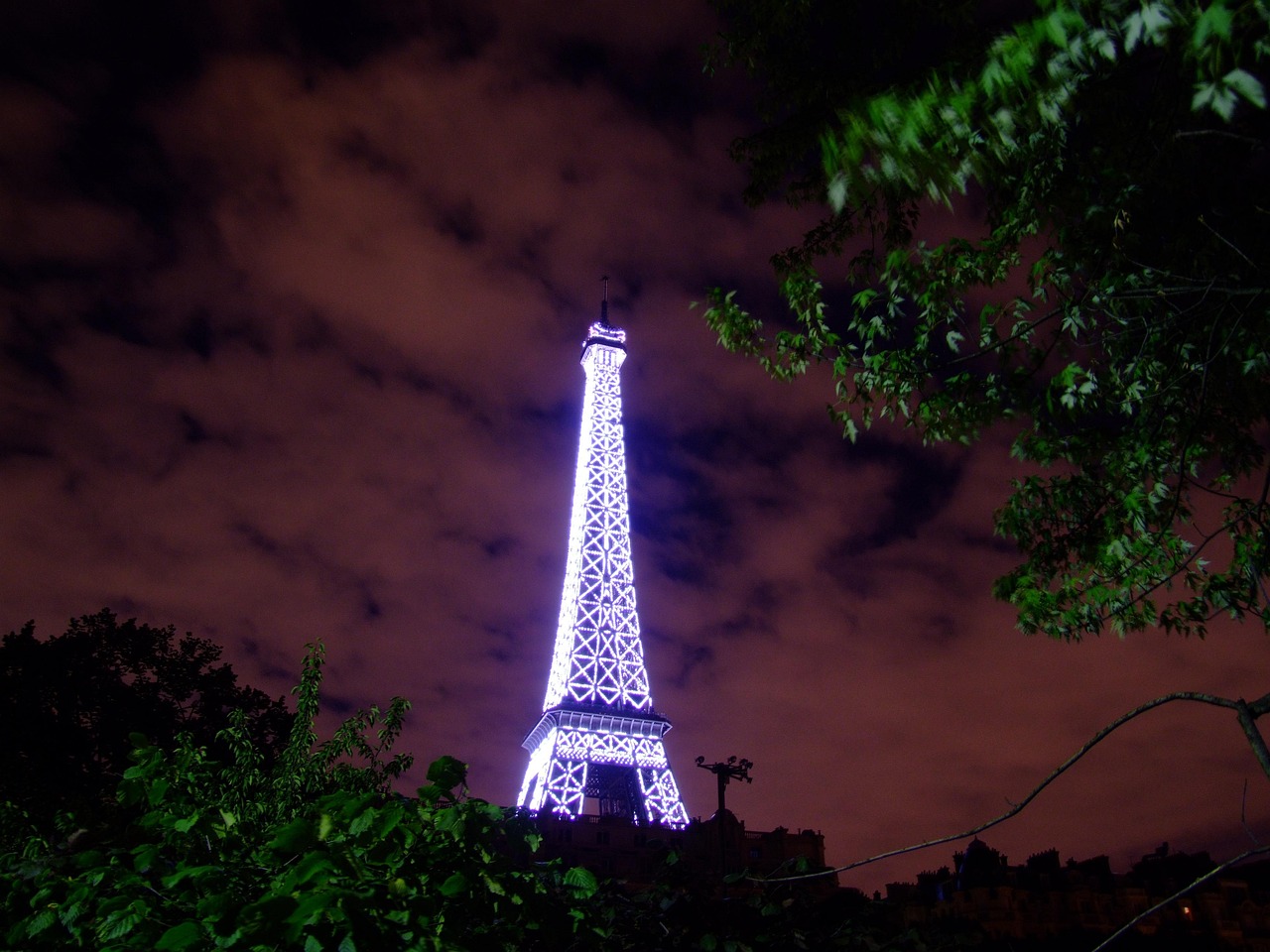 Eiffel Tower exclusive access and the top view of Paris with a private guided tour
