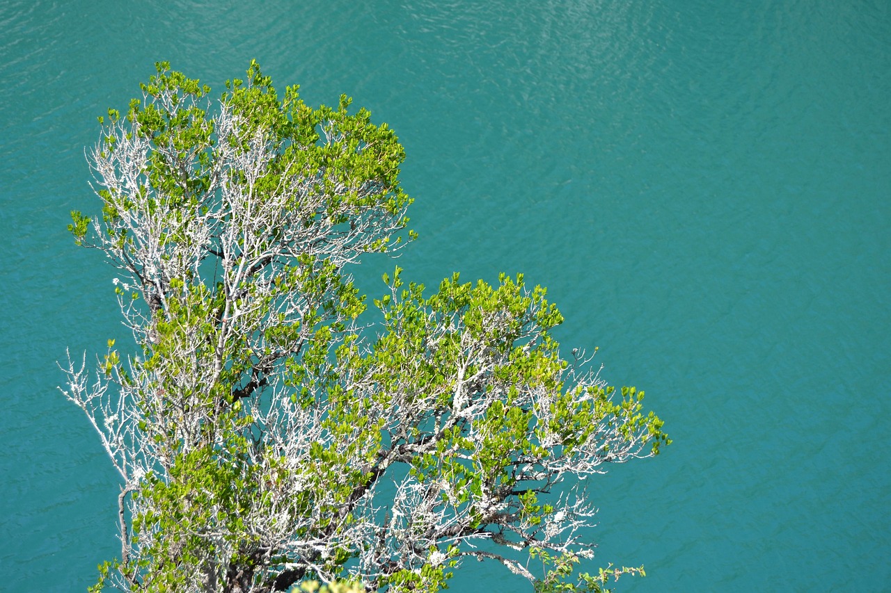 Hike the Sentier Blanc-Martel Martel Trail Verdon Gorge La Maline Alfred Martel