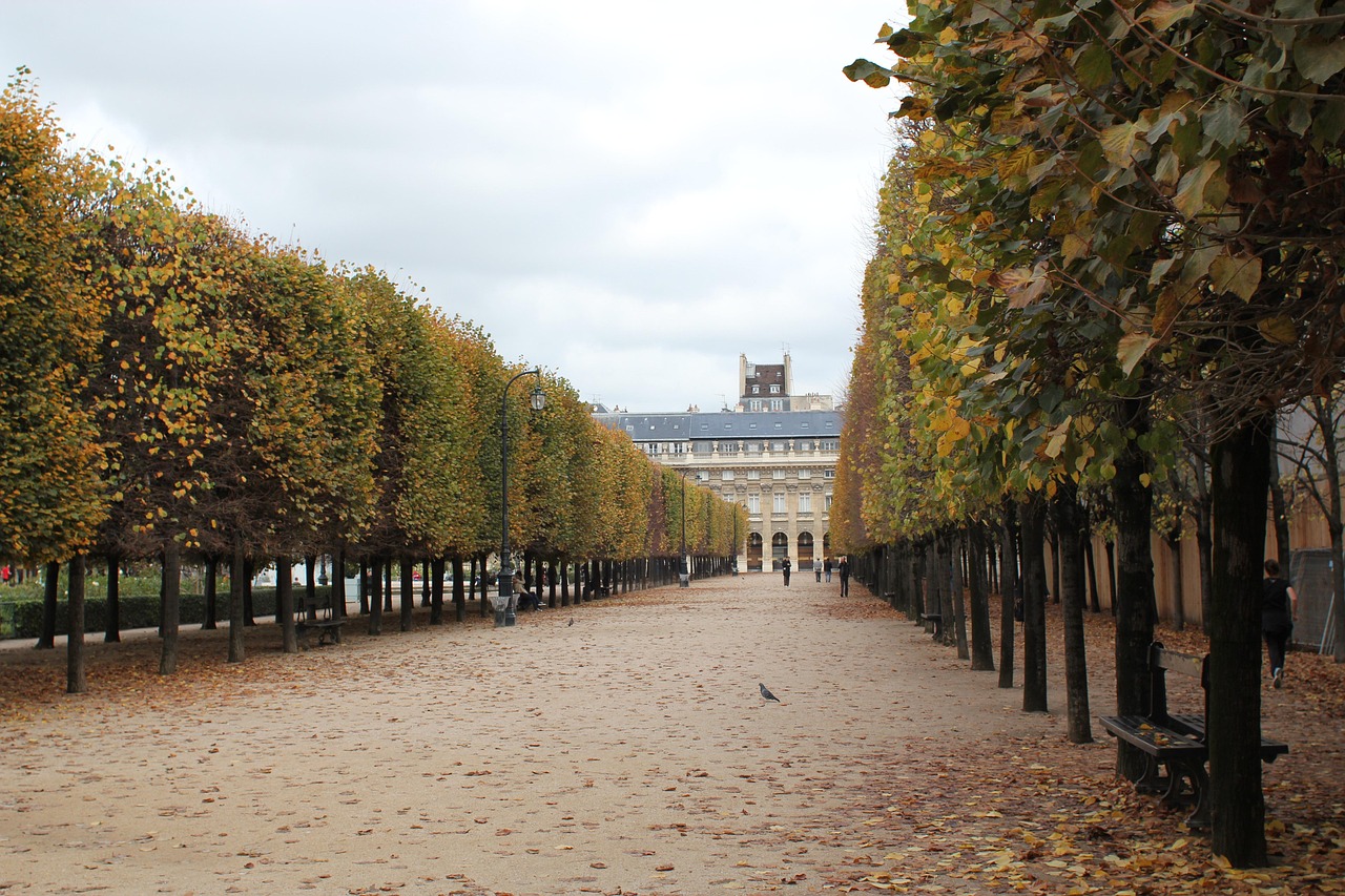Local Strolls After the Museum from the jardin to Bois de Boulogne