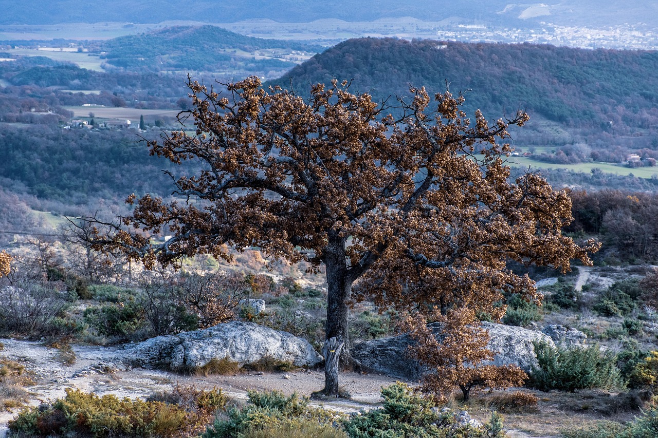 Beautiful places in France by region for a first visit with coast, countryside and hilltop villages
