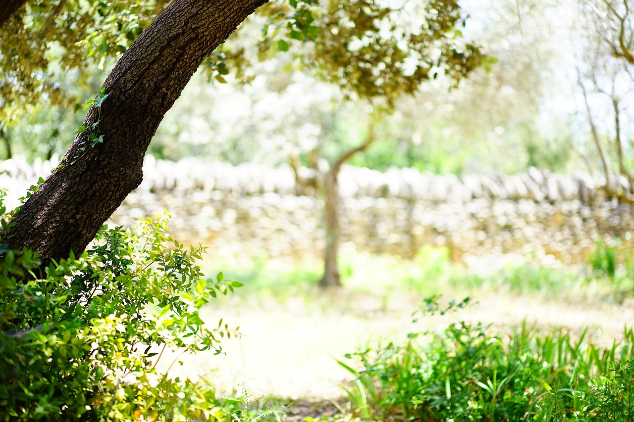 Provence beautiful place moments in a village around Gordes with honey-stone architecture