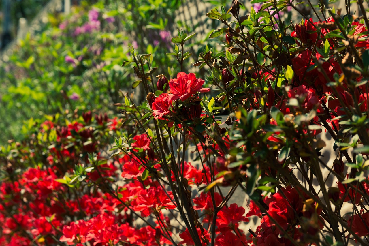 Best times to visit South Korea at a glance: luxury travel guide for Seoul and refined seasonal planning