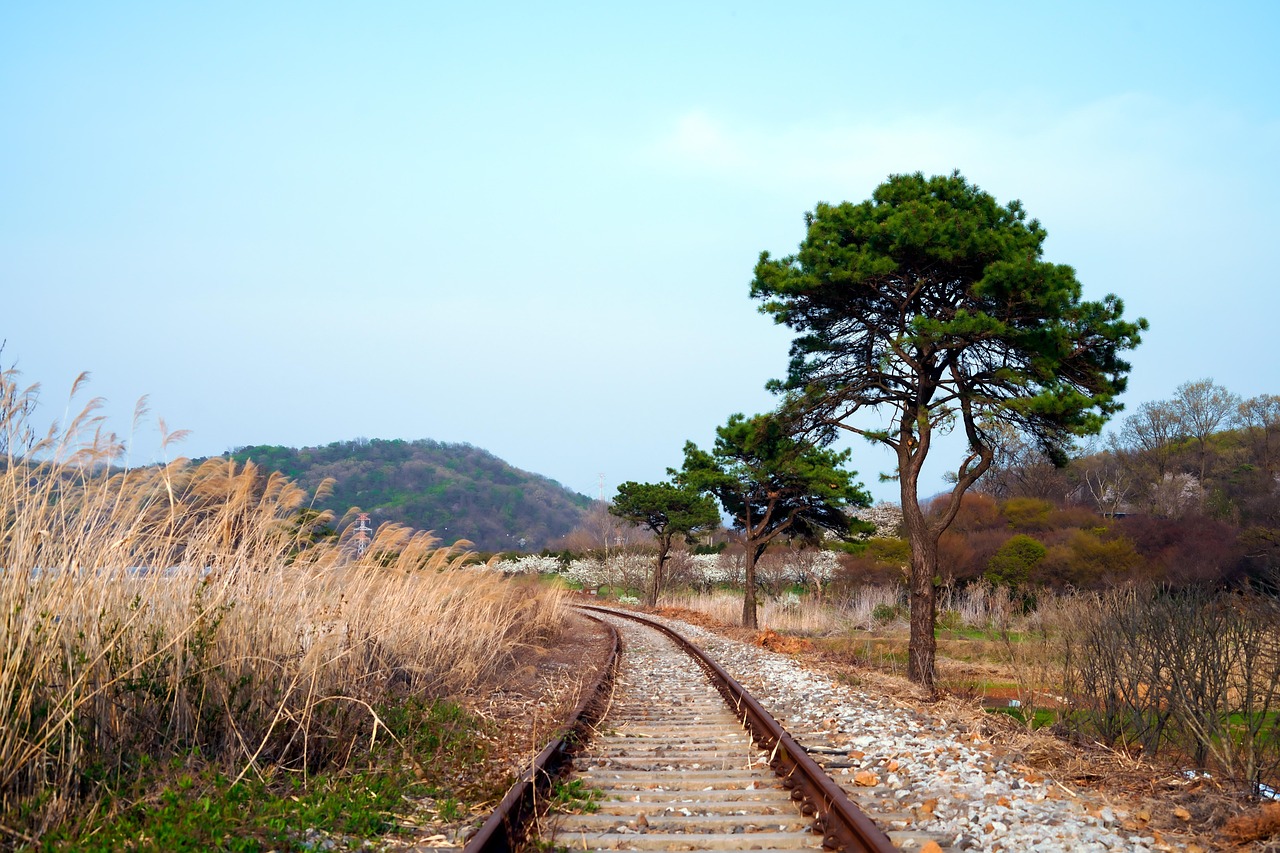 Design Your South Korea Travel Itinerary Timing Costs and Seamless Moves with modern rail lines