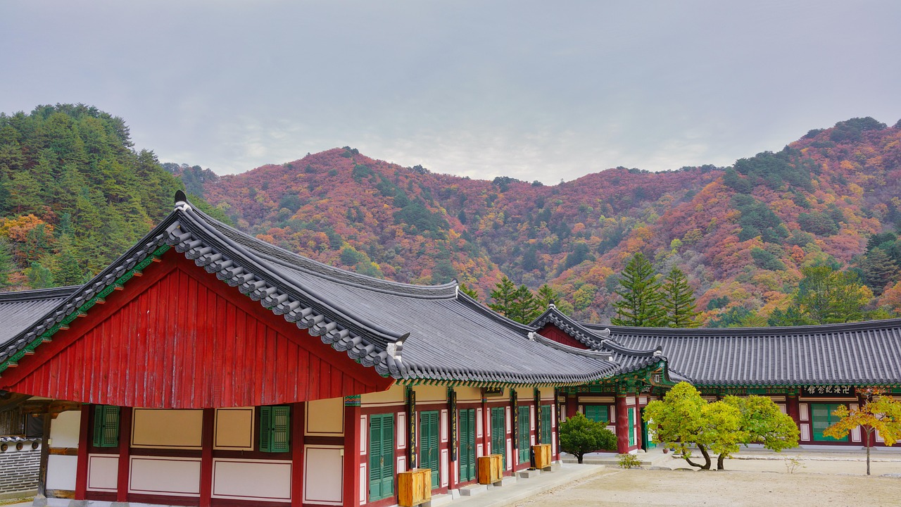 Autumn September to November Golden Trails and Quiet Temples for an Autumn Time to Visit Korea