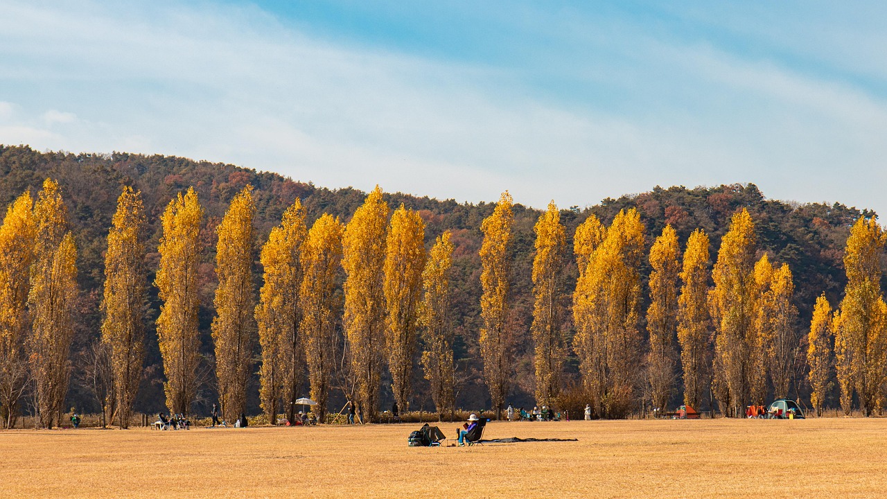 Autumn best time to visit South Korea September to November with foliage in the mountains