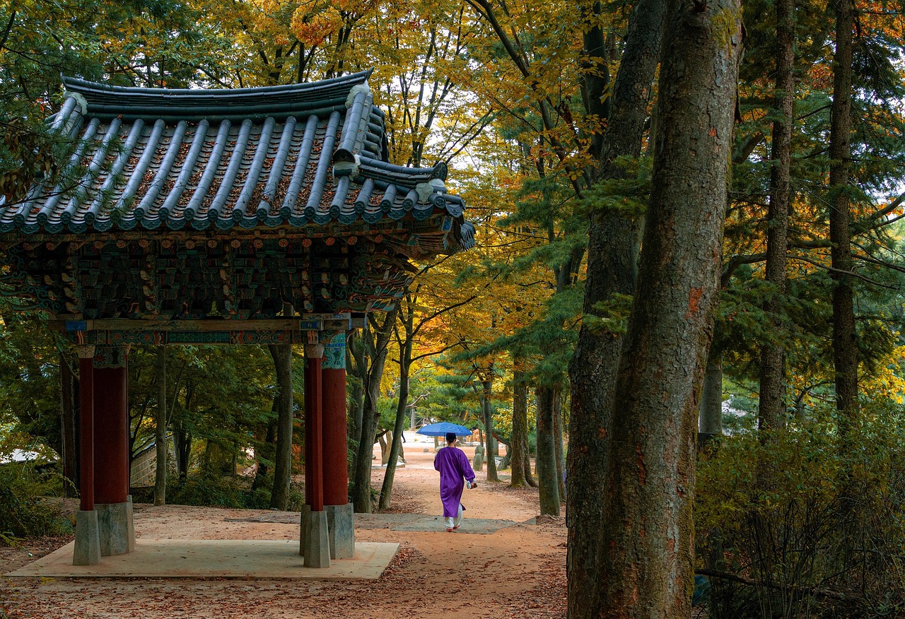 Seoul in October with palaces and Bukchon Hanok Village in gentle light