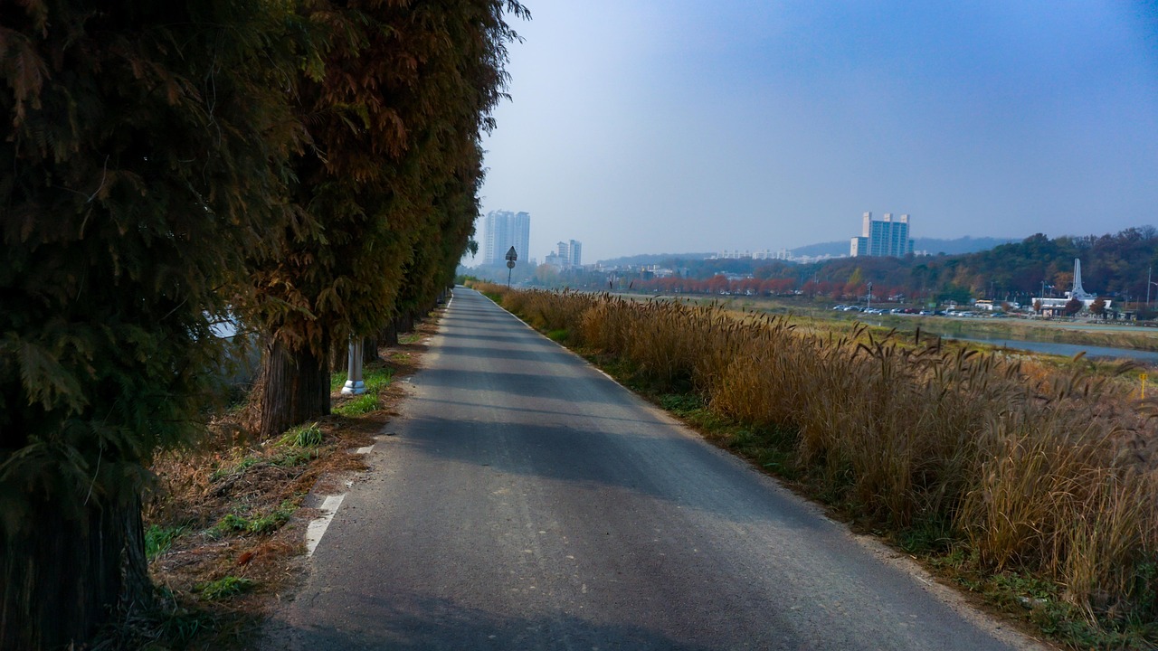 Seoul in Style Gangnam and Apgujeong luxury shopping fine dining with modernity