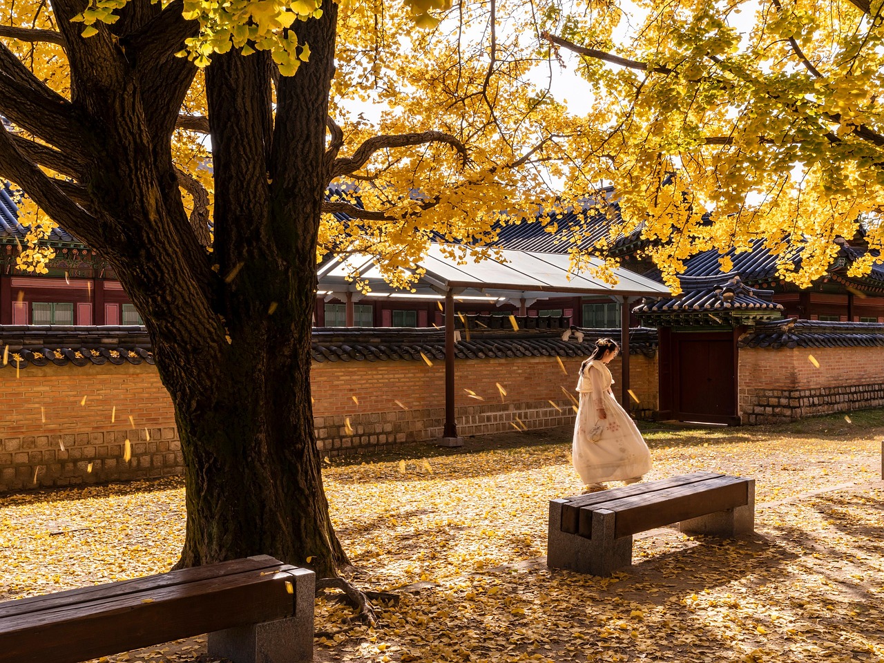 Gyeongbokgung Palace and Insadong in Traditional Hanbok on a March morning in Seoul