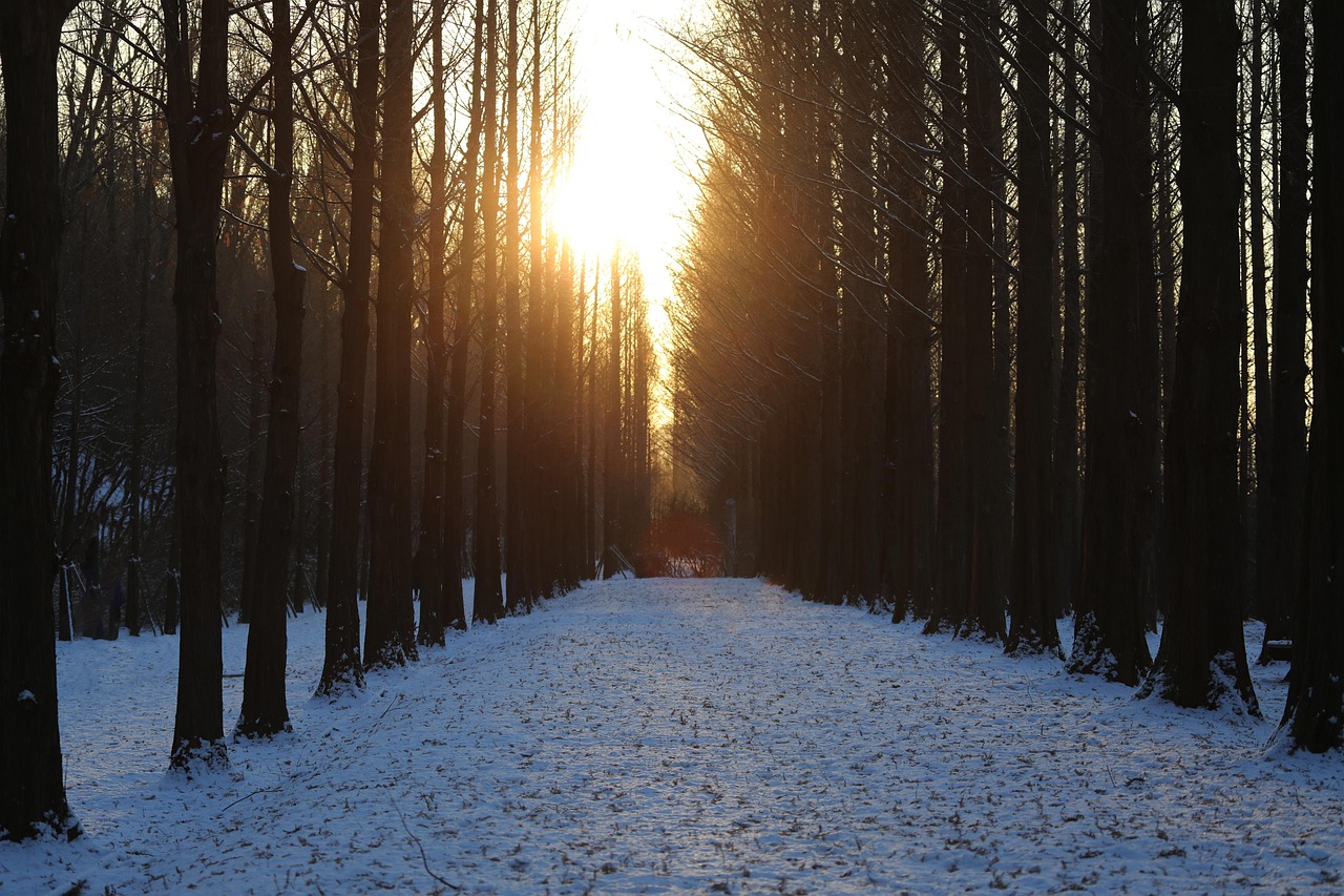 When is winter in Korea and why it matters for your time to visit South Korea