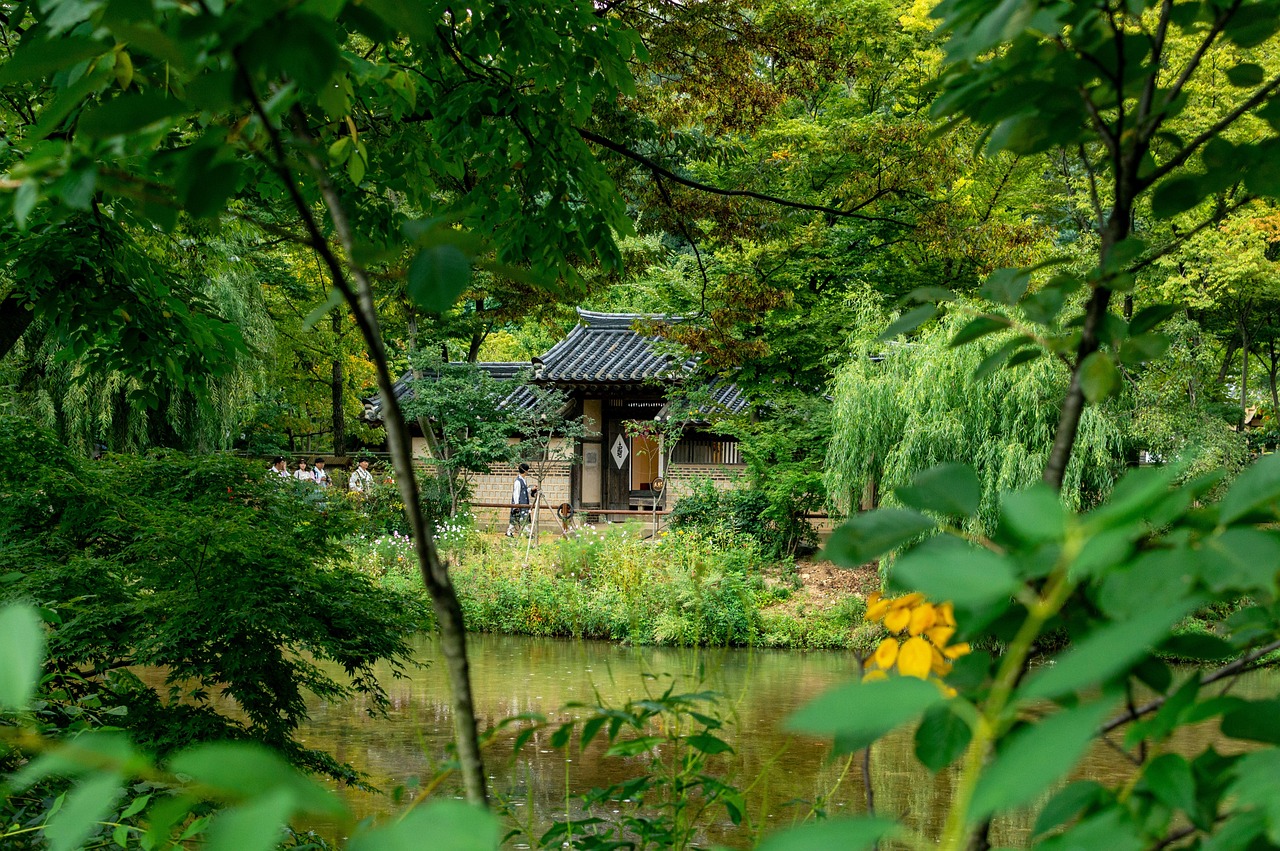 September in Seoul parks with early autumn colour at Namsan and beyond