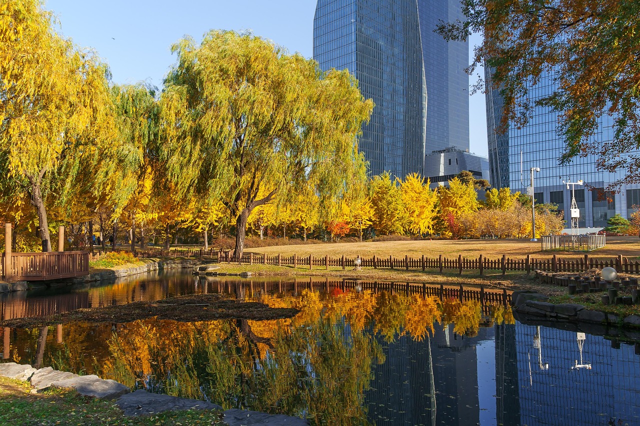 Spring in Seoul the best time to visit for cherry blossom at Yeouido Park
