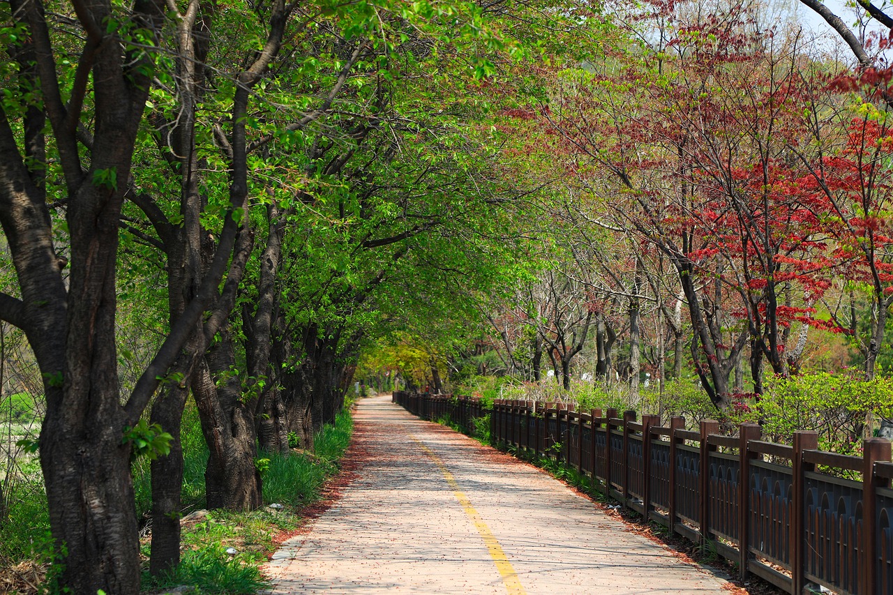 Best Time to Visit South Korea for Summer Style with best time to visit South Korea June early July