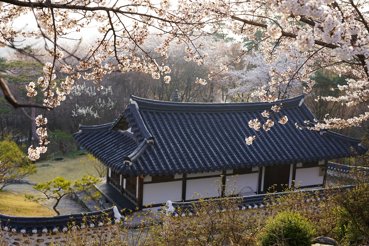 Spring in Seoul best time to visit for cherry blossom scenes and gentle city walks