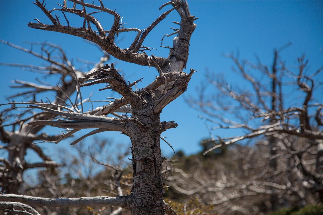 Jeju Island in June Hallasan at dawn and the great outdoors