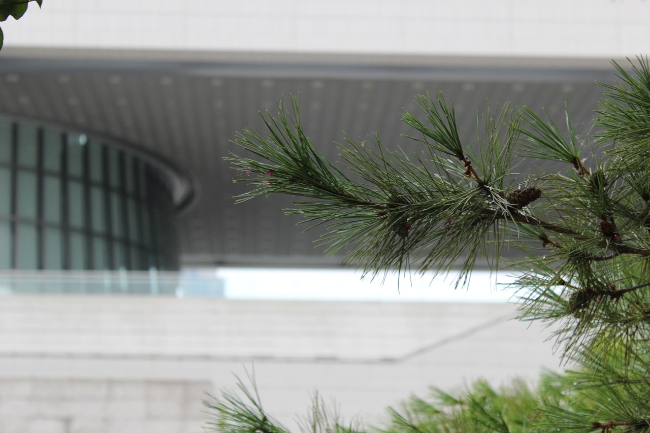 Seoul art and wellness with expert care at museums and a luxury jjimjilbang