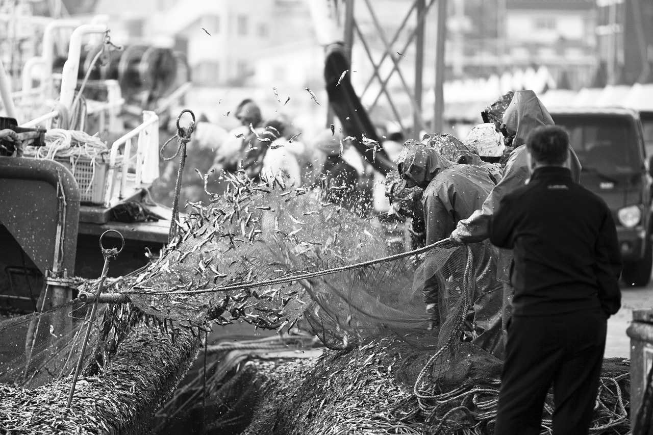 Beyond Seoul with South Korea trip highlights in Busan, Gyeongju, Jeju and Seoraksan