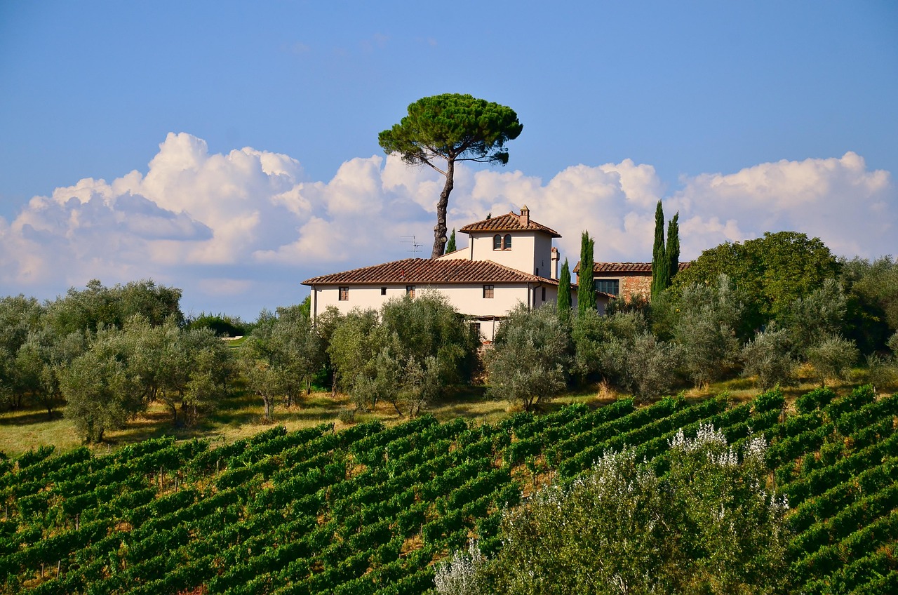 Tuscany Vineyards and Tuscan Villas to Create Flavourful Days with private tastings