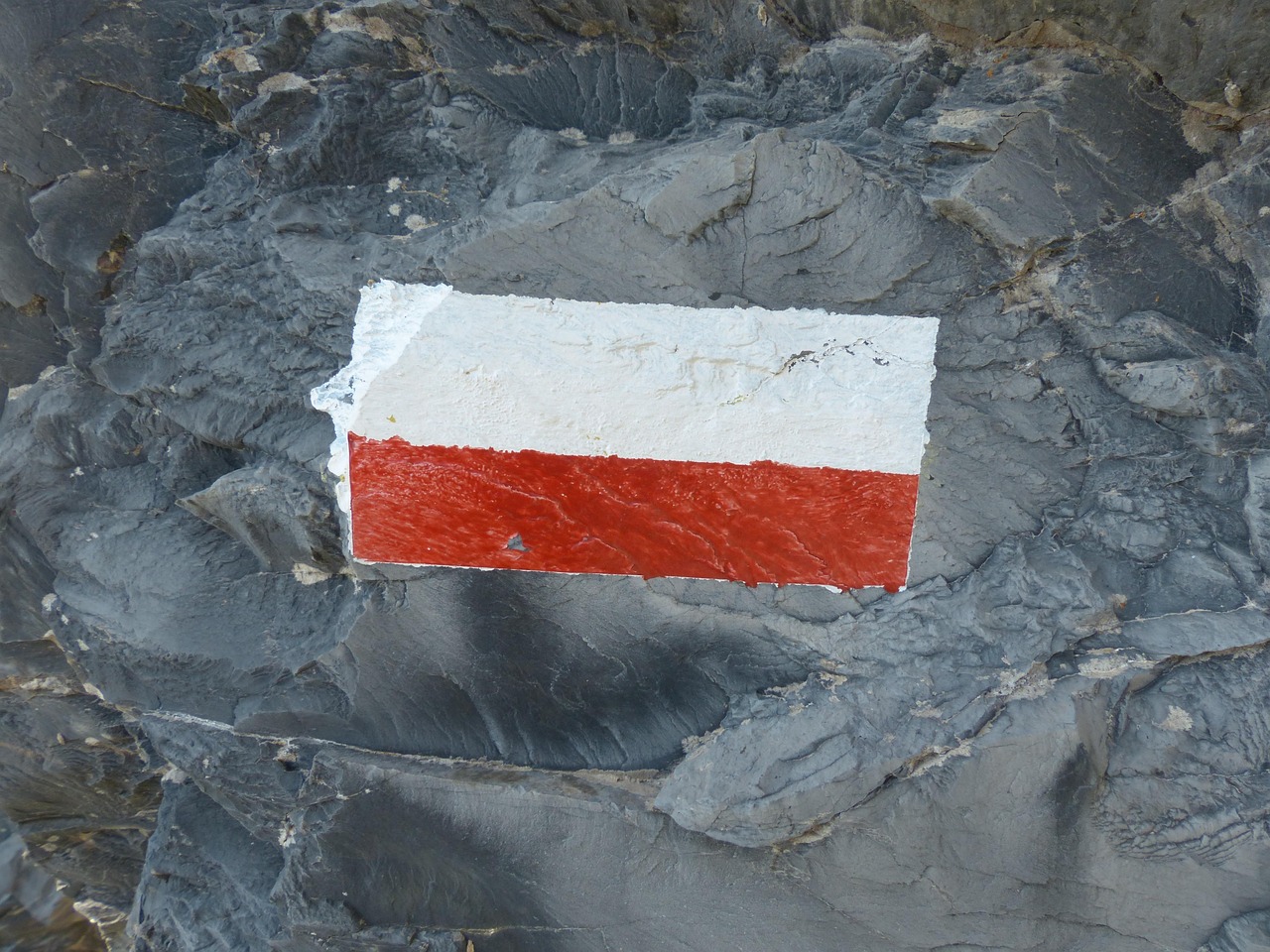 Hike to San Fruttuoso Abbey via Di San Trails