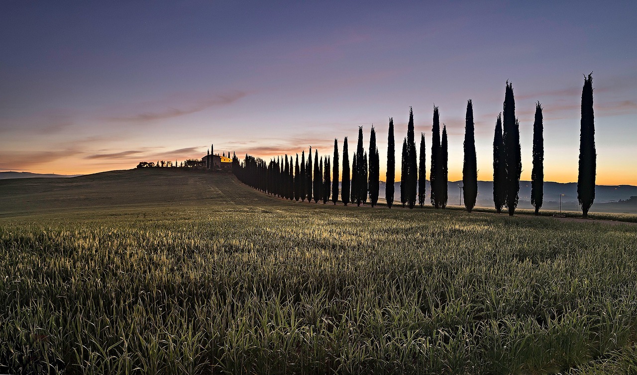 Explore the Viottolone and Florence viewpoints in the Boboli Garden