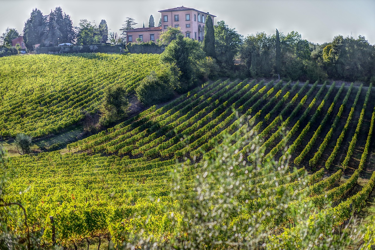 San Gimignano Florence Day Trip Tower Houses and Vineyard Warmth with Tuscan wine country views