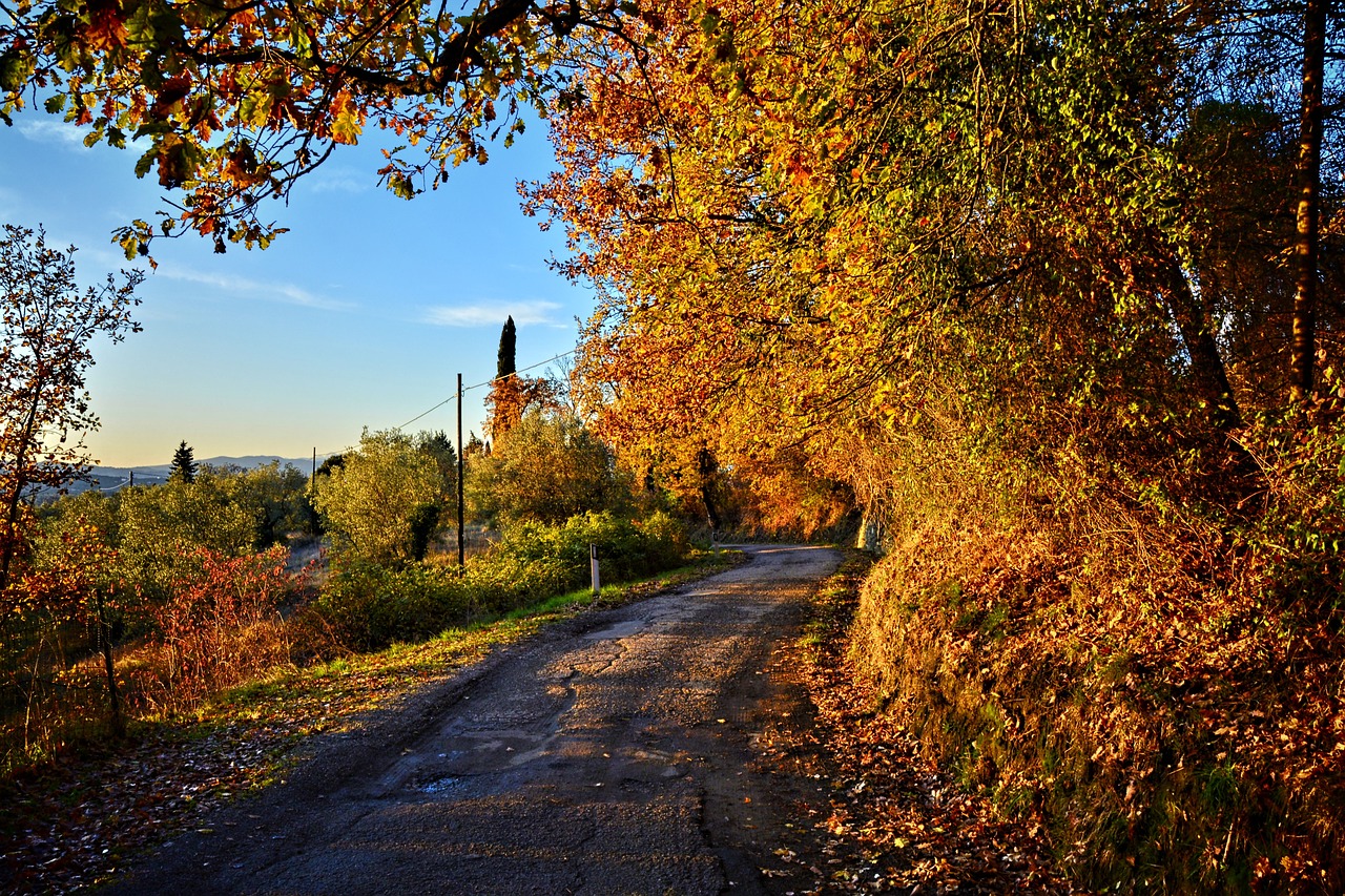 Day trip design and seamless luxury logistics