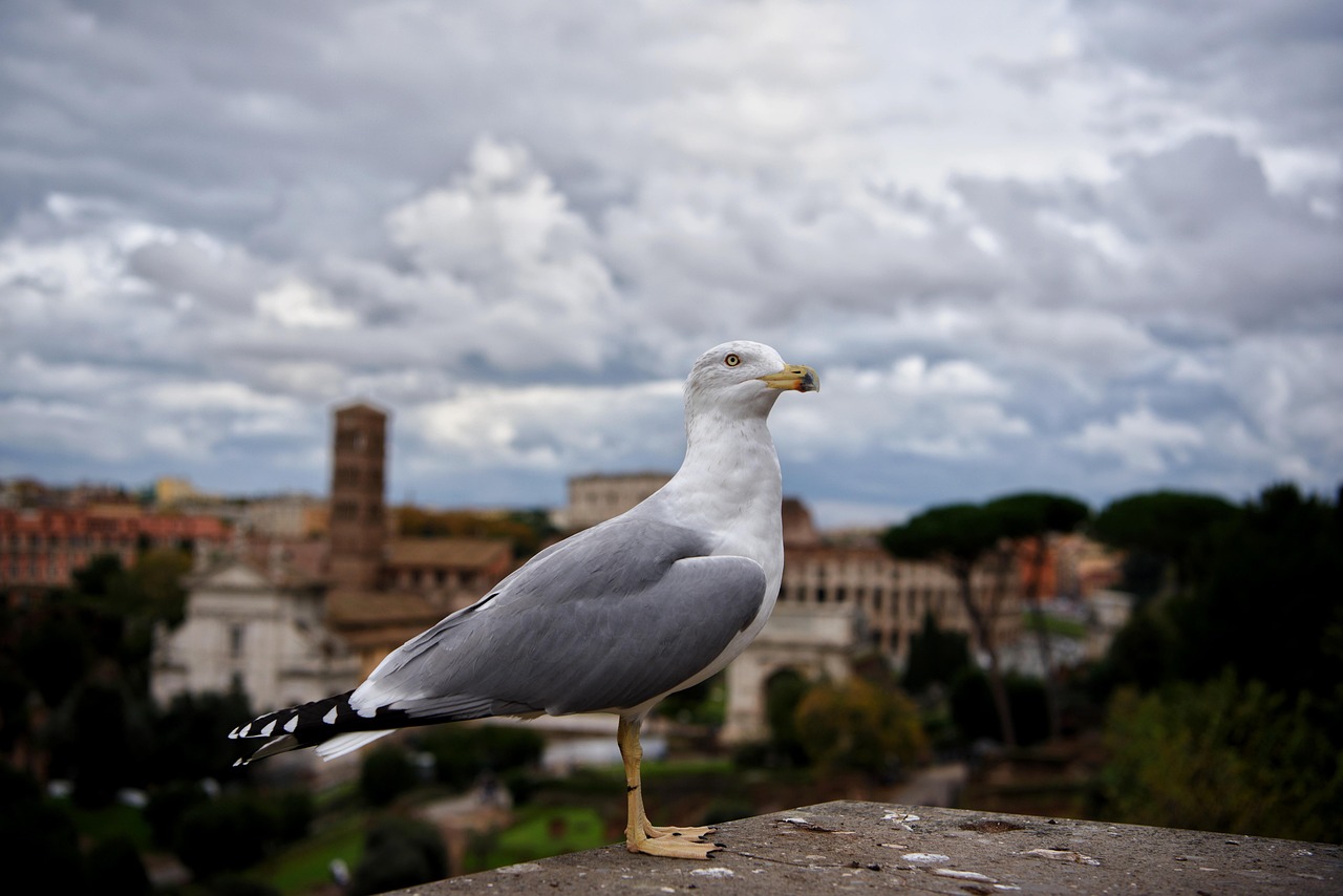 Rome and the best time to visit Rome for high-end travellers in soft golden light