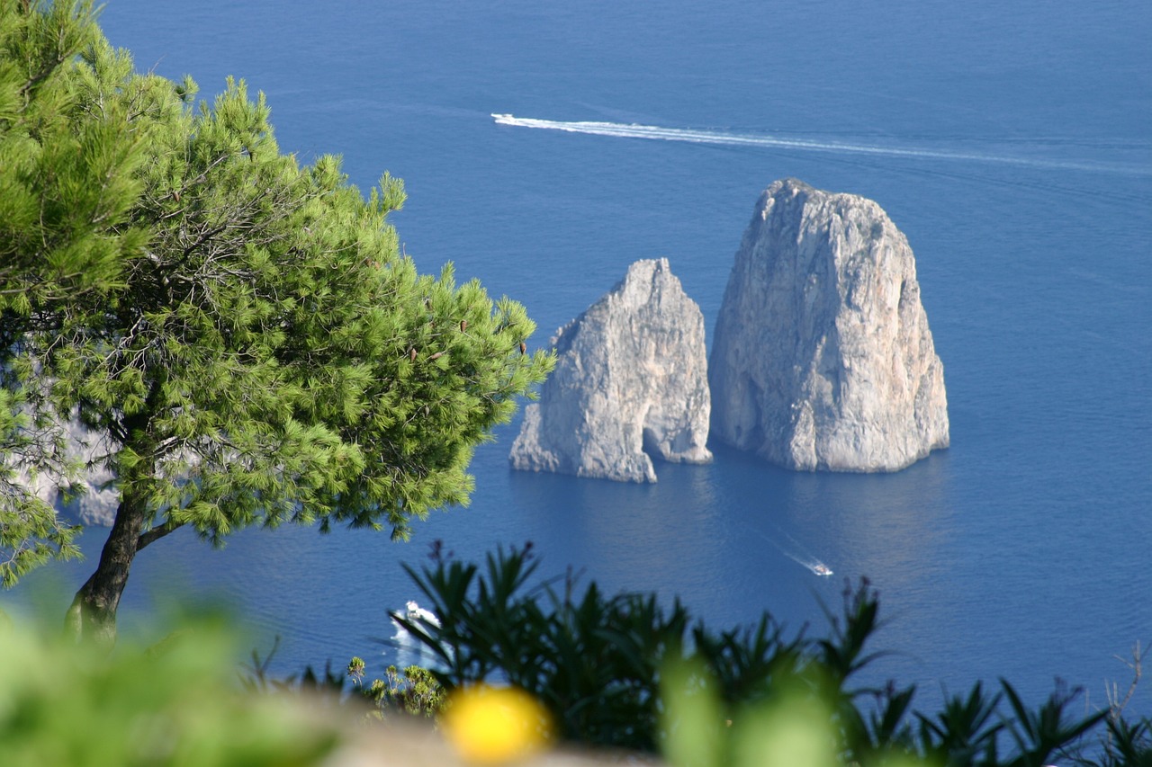 Entrance Fee Tickets and Booking with Confidence for the Blue Grotto in Capri
