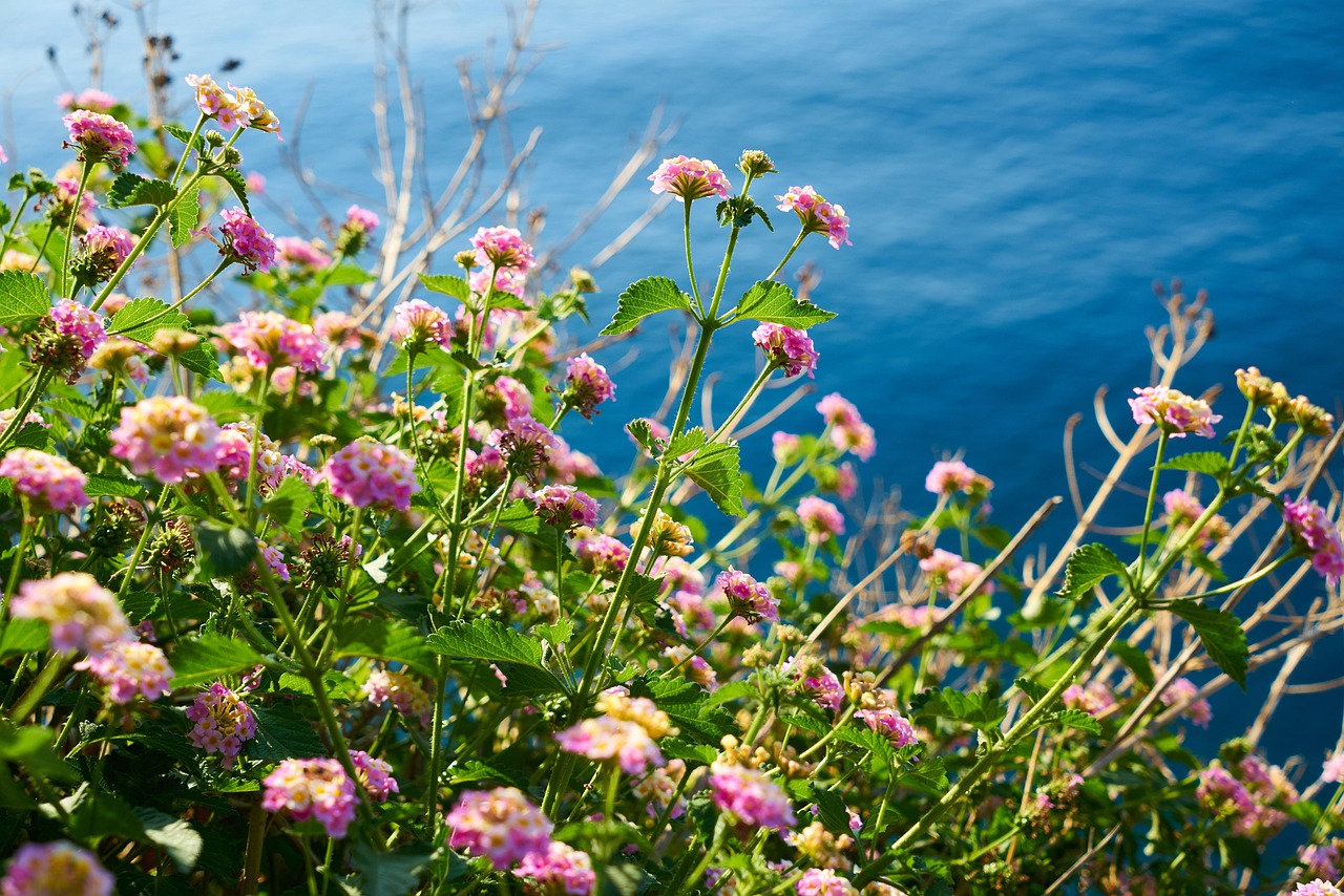 Ventimiglia coastal trails Hanbury Botanical Gardens with Mediterranean views