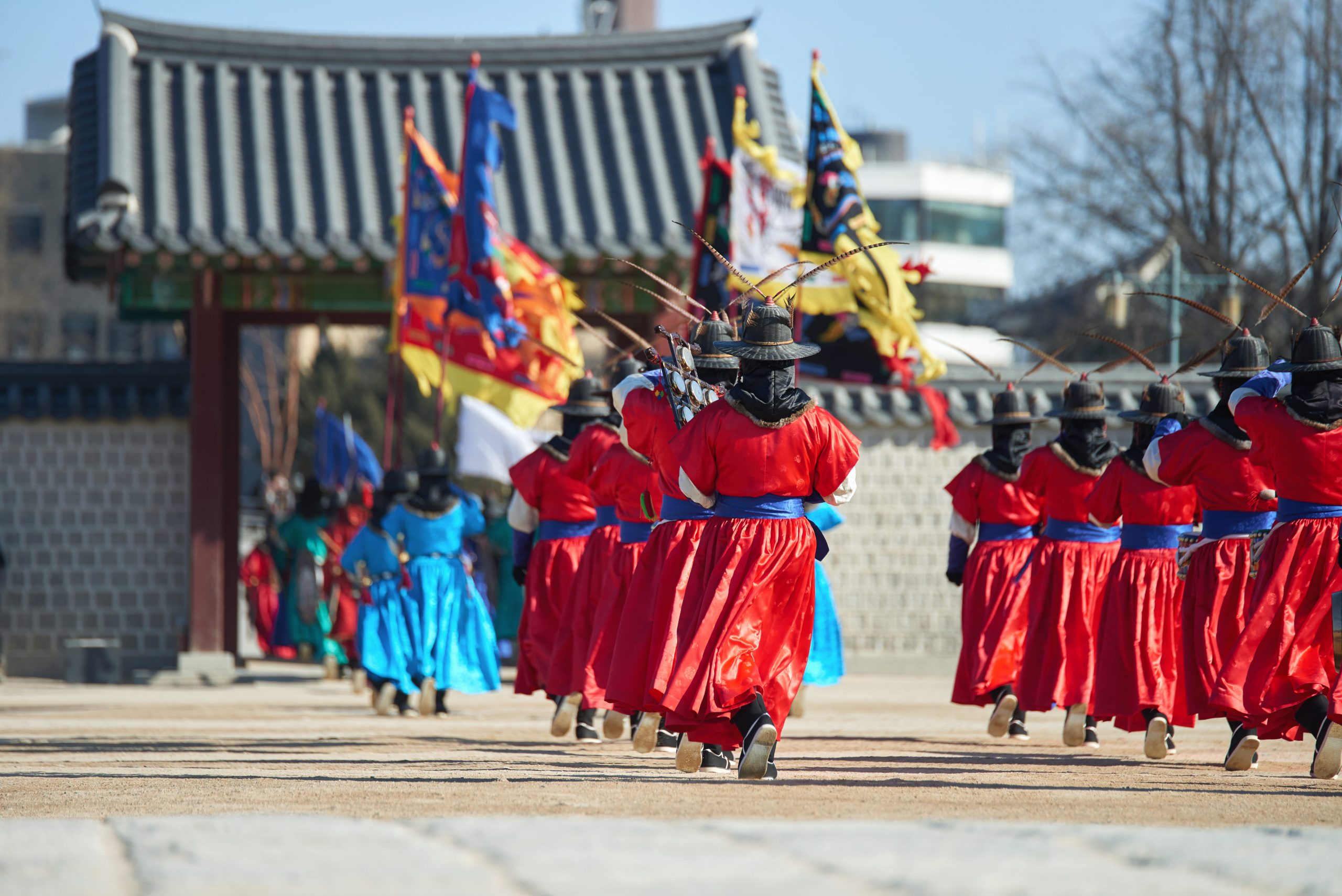 Glowing winter lights and festive streets—January celebrations across the country.