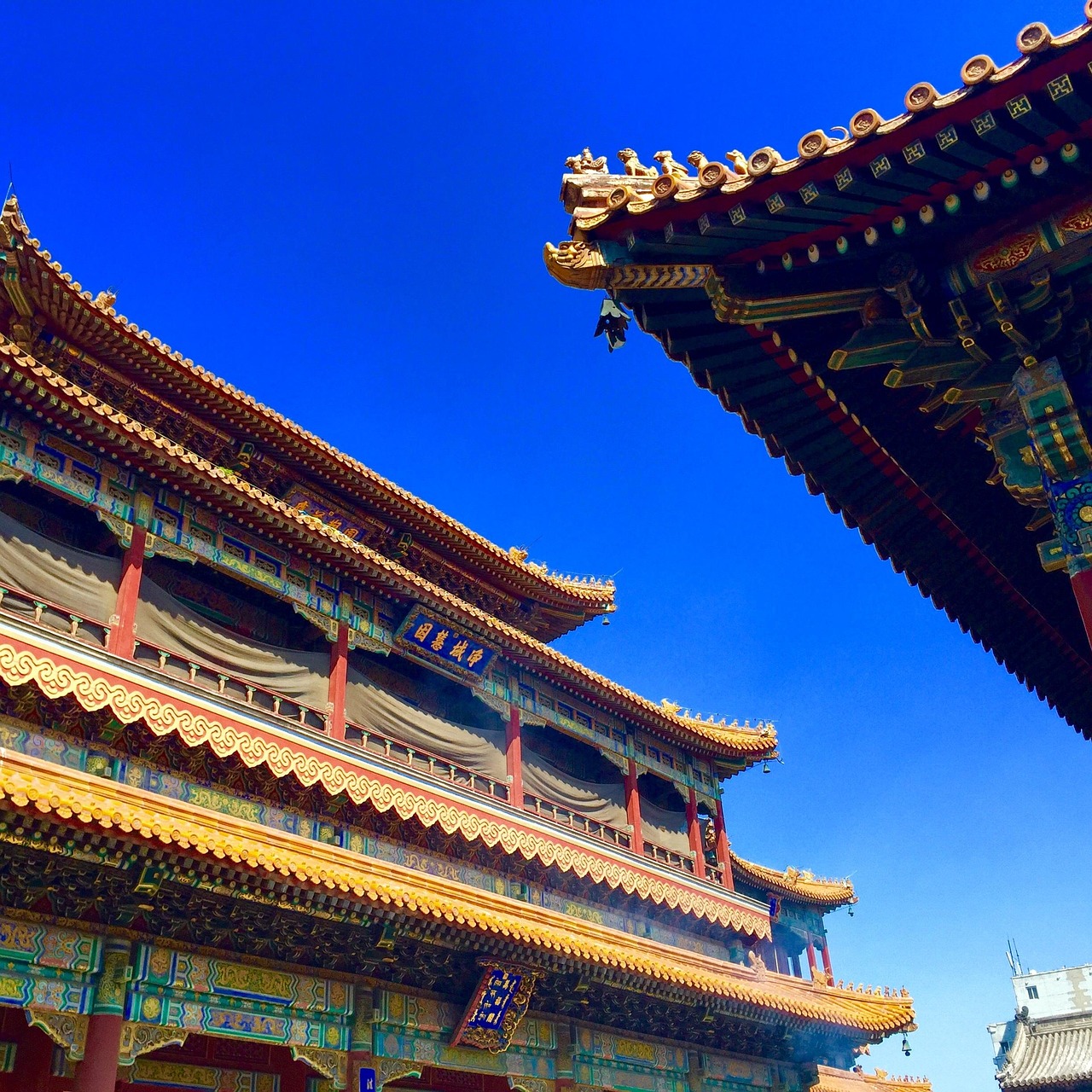 Temples and tranquil gardens for spiritual insight in Beijing